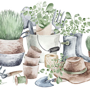 achtertuin idee eco tuin achtertuin idee eco tuin