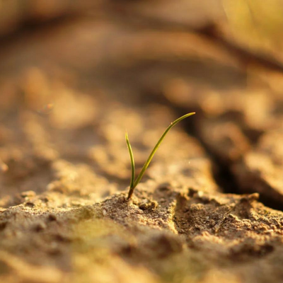Soorten grond in de tuin Grondsoorten