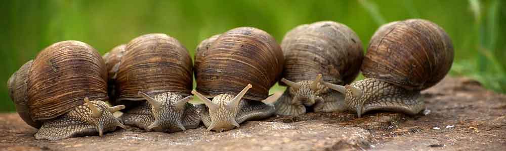 Tuintips mei Tuinmeubelland