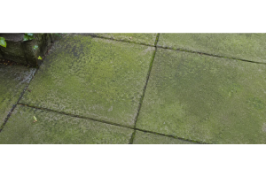 Groene aanslag verwijderen