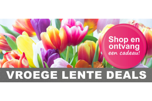 lente deals
