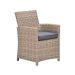 Alaska lounge dining stoel - vintage willow