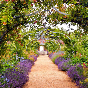 cottage style laantje in engelse tuinstijl .