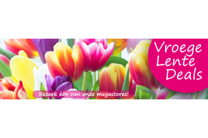 lente deals