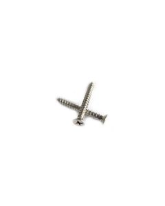 Schroeven 20x-RVS