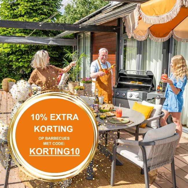 bbq10