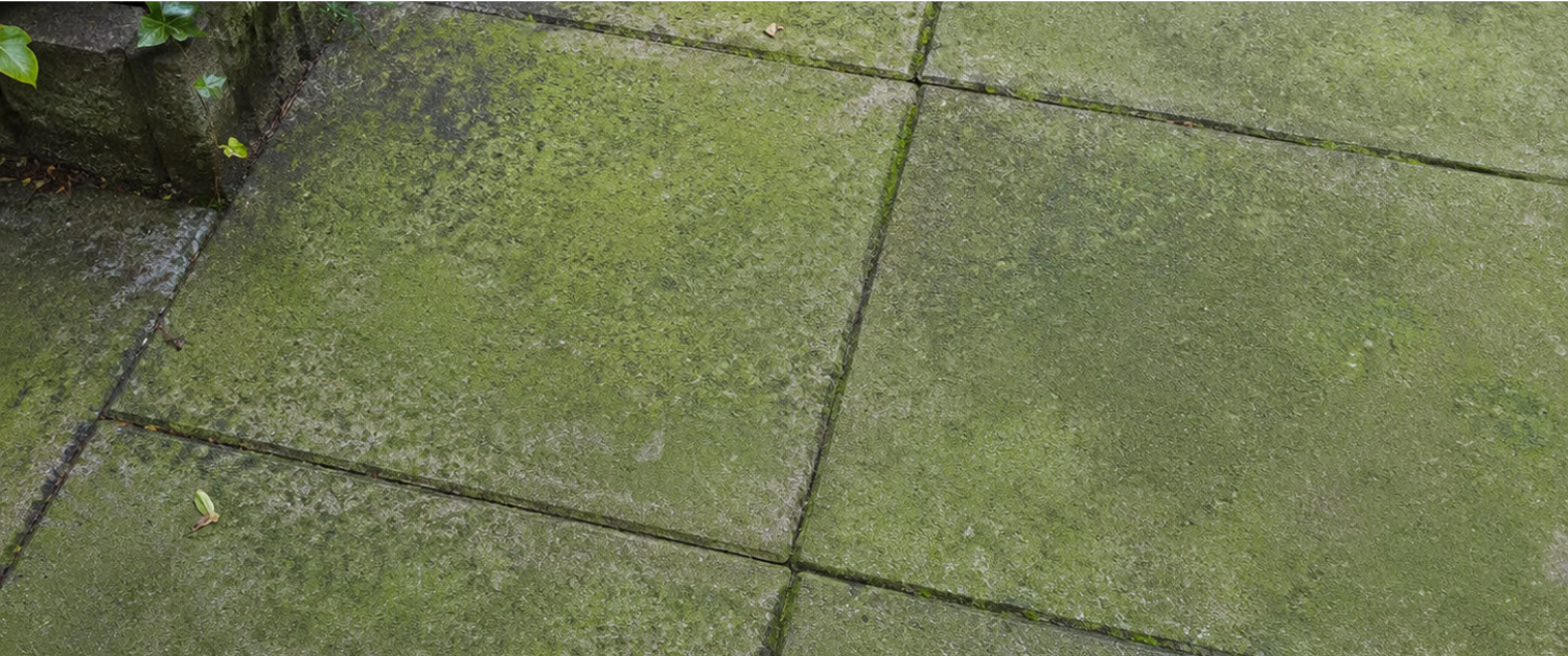 Groene aanslag verwijderen